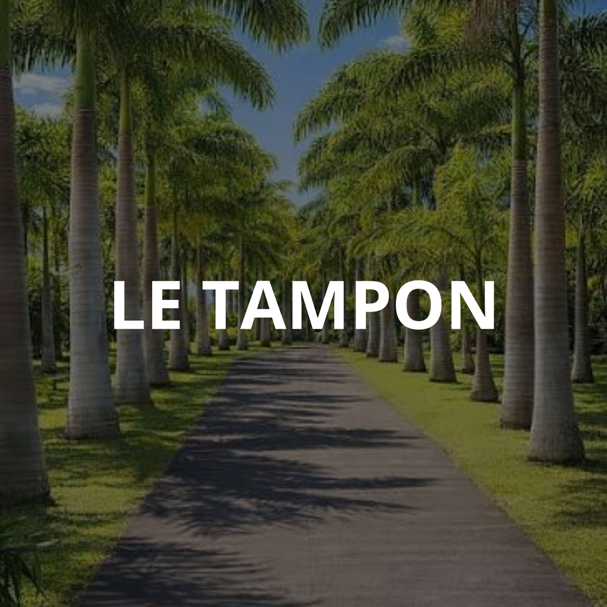 Le Tampon