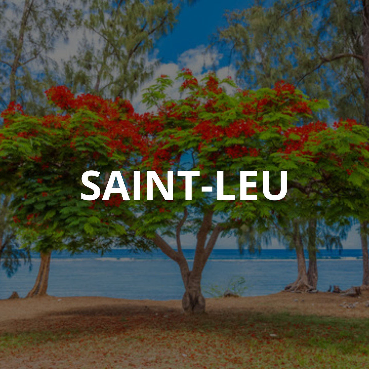Saint-Leu