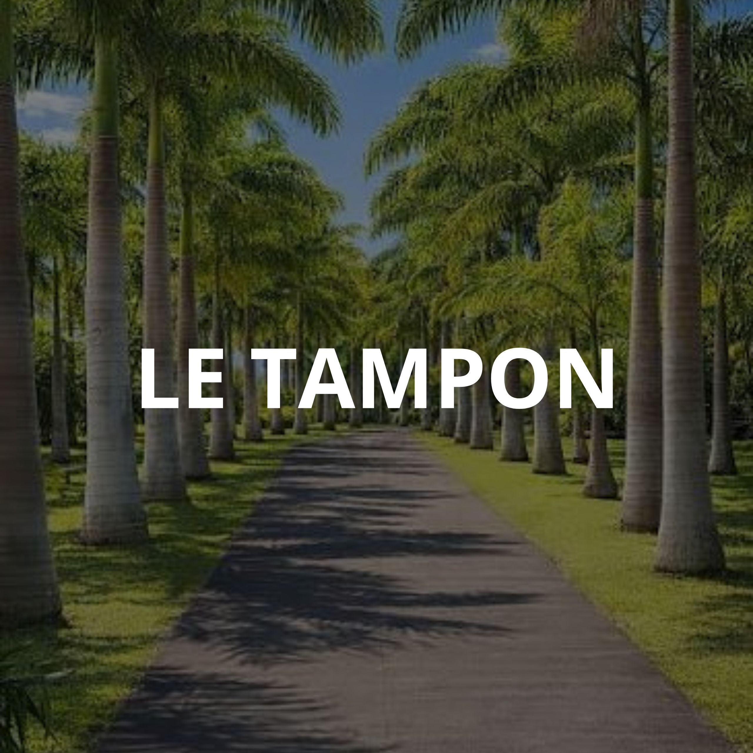 Le Tampon