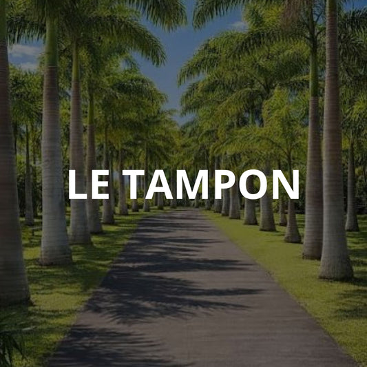 Le Tampon
