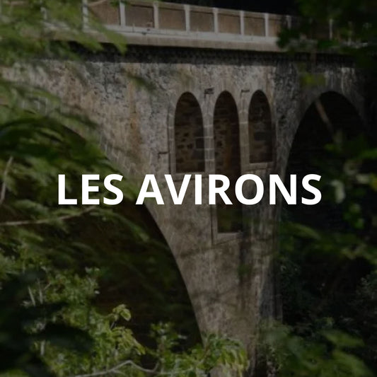 Les Avirons