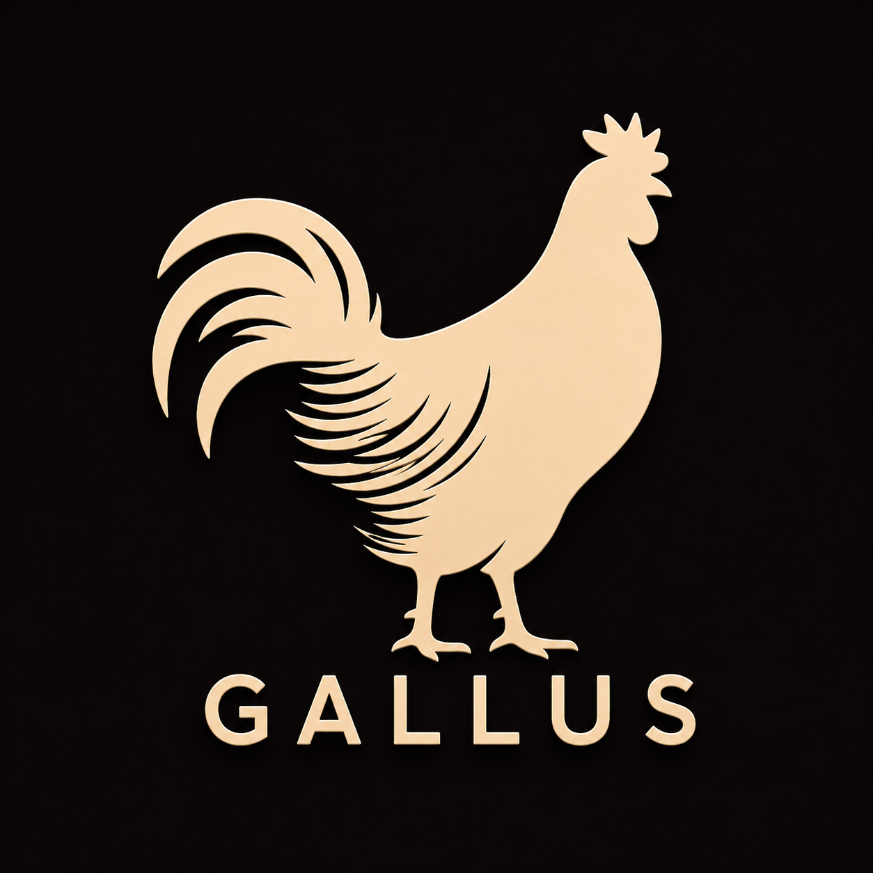 Gallus